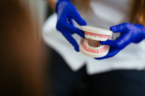  Red Lake, MN Holistic Dental Services Pros