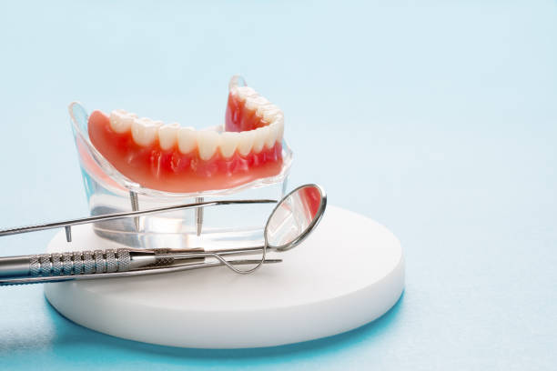 Best Traditional Braces  in Red Lake, MN